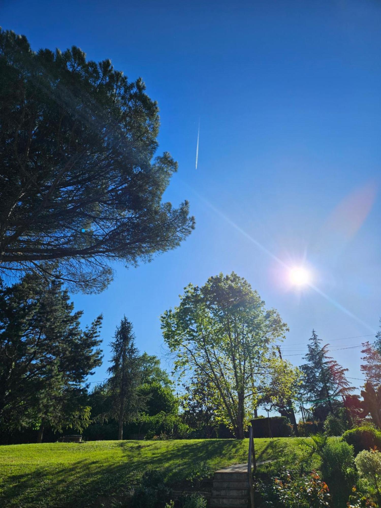 モントーバン Domaine De Belcayre Bed & Breakfast エクステリア 写真