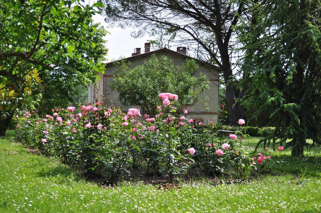 モントーバン Domaine De Belcayre Bed & Breakfast エクステリア 写真